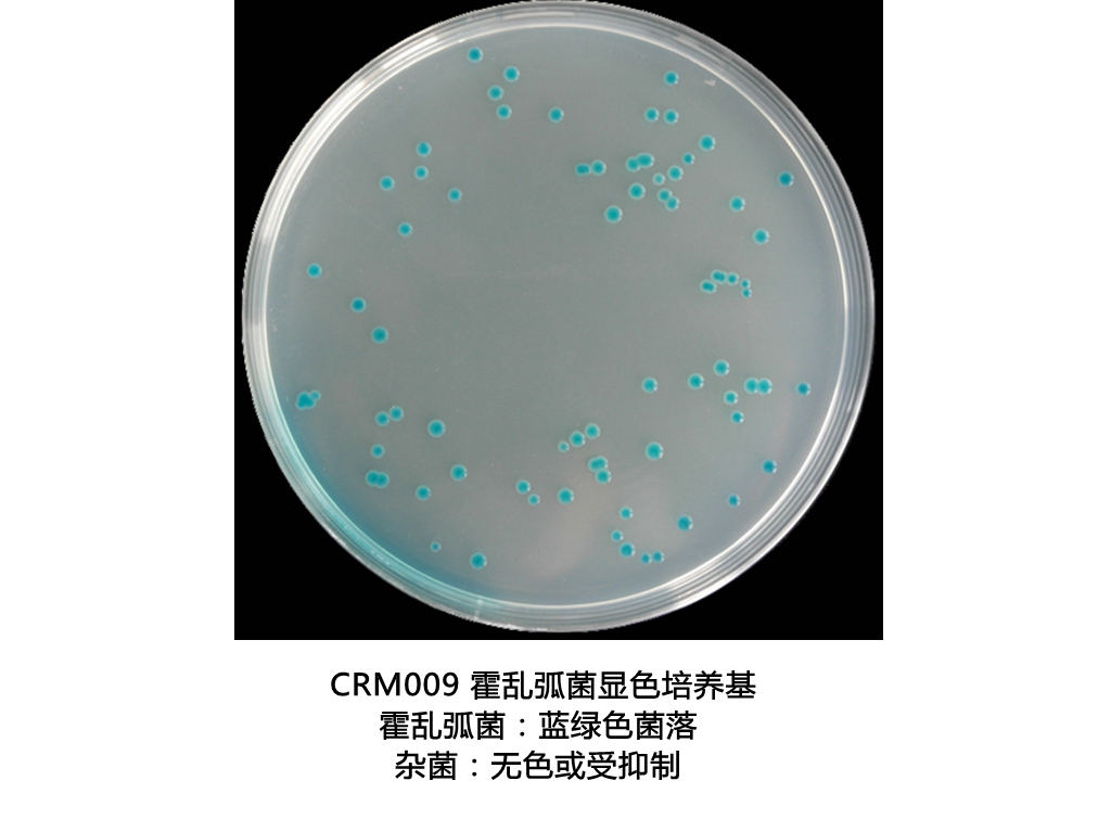 霍亂弧菌顯色培養(yǎng)基生物圖冊