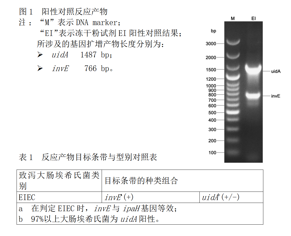 EIEC多重PCR檢測試劑盒結果判斷