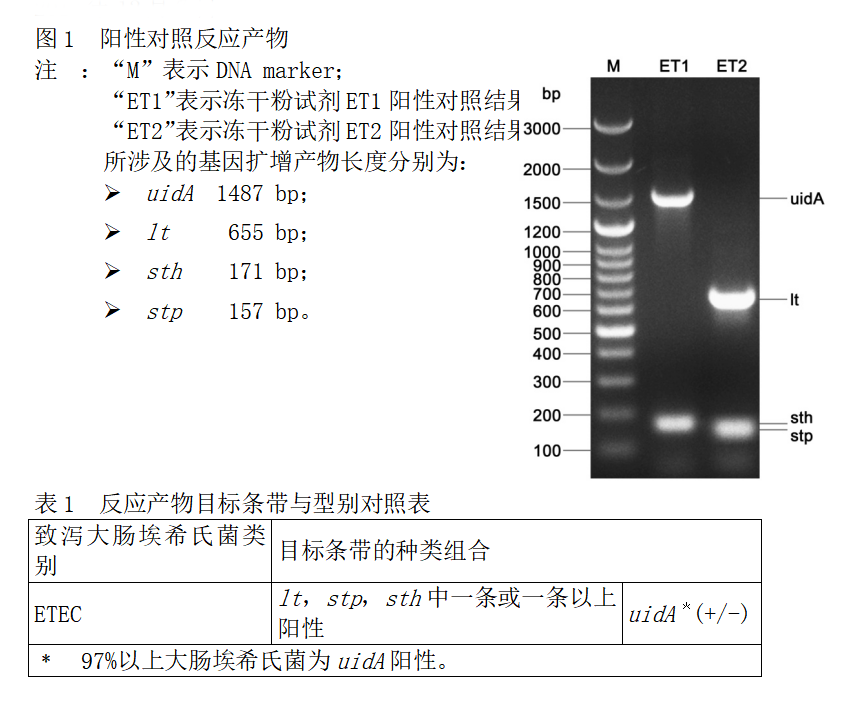 ETEC多重PCR檢測試劑盒結果判讀