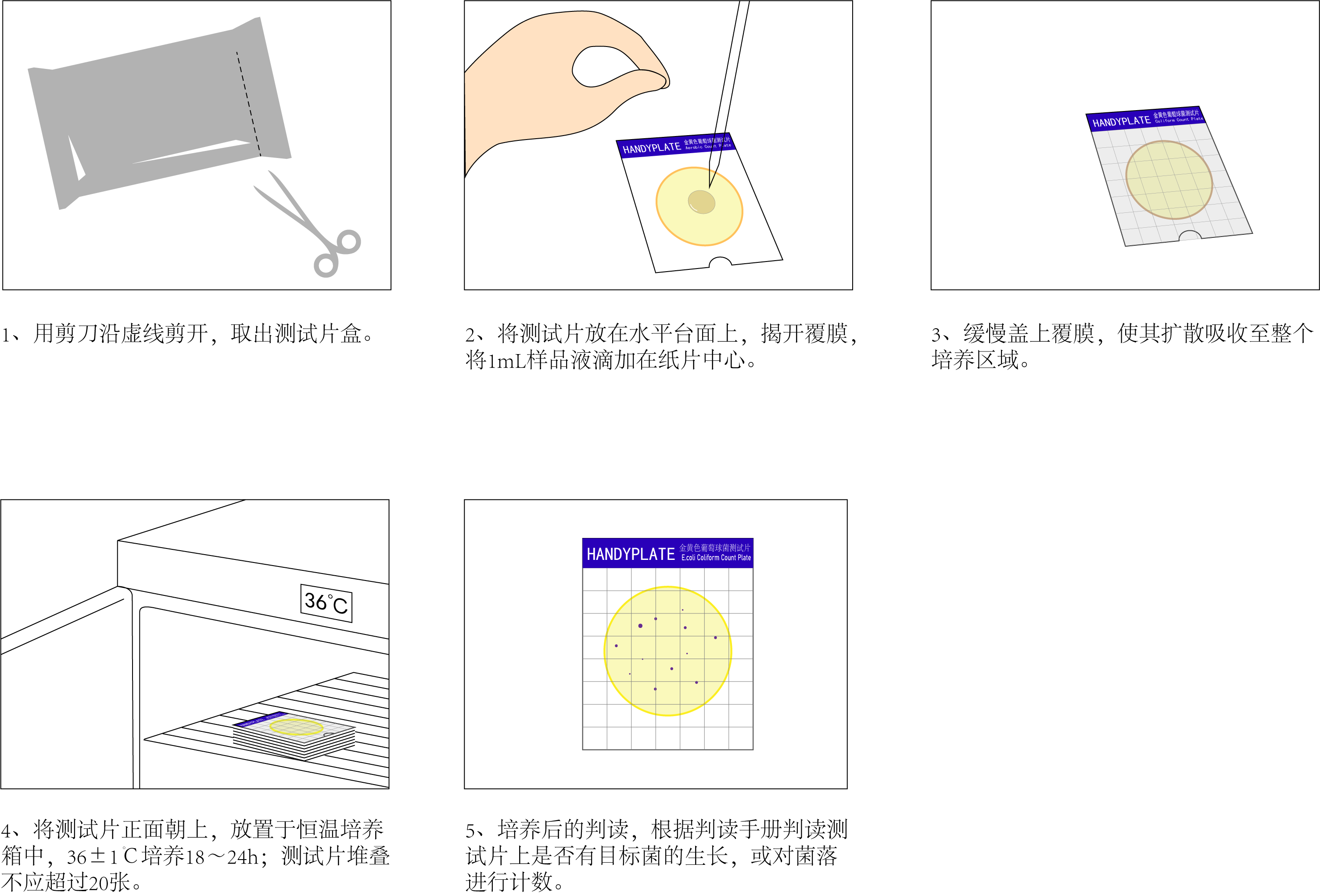 定量計數(shù)操作圖解