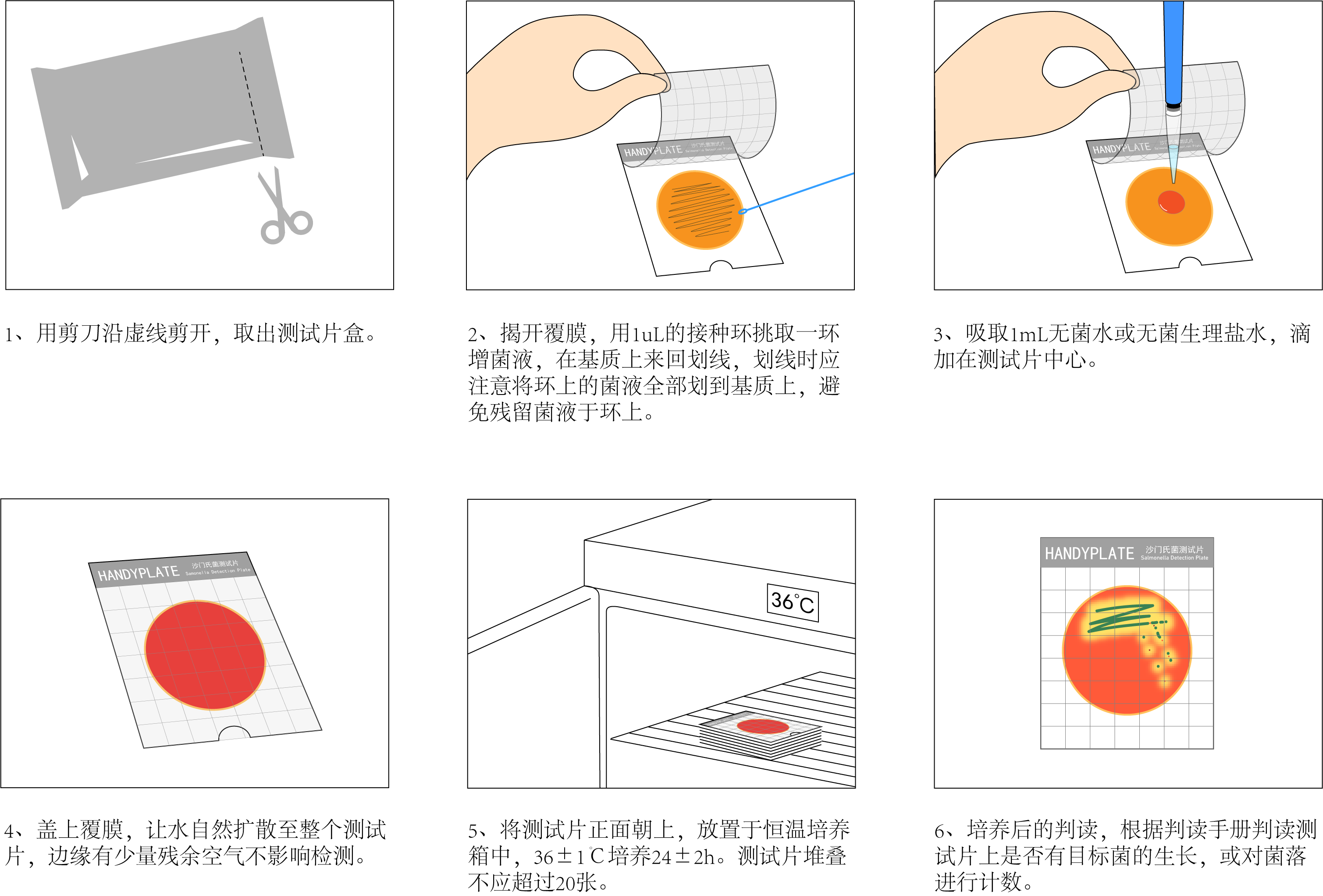 Handy plate®沙門(mén)氏菌測(cè)試片 操作圖解