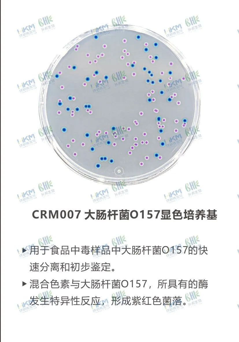 CRM007 大腸桿菌O157顯色培養(yǎng)基